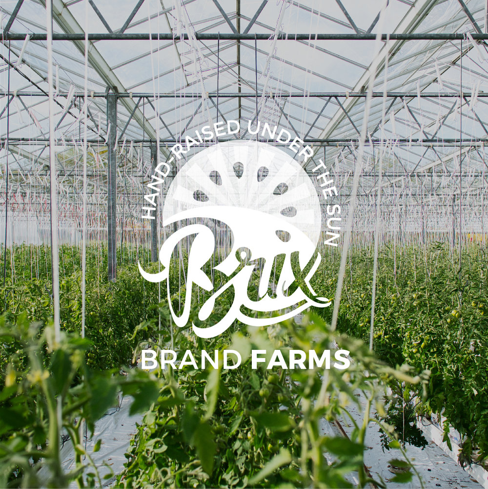 &lt;p&gt;&lt;strong&gt;Brix Brand Farms&lt;/strong&gt;&lt;/p&gt;