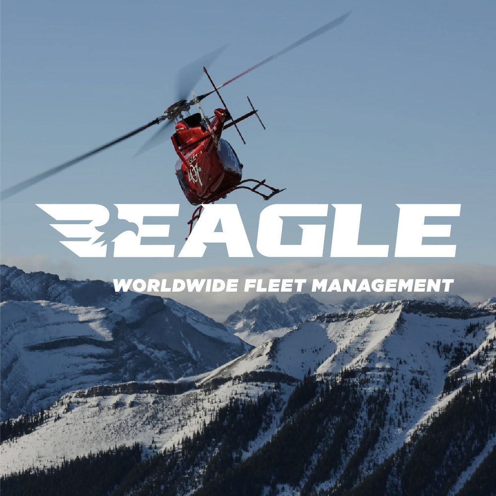 &lt;p&gt;&lt;strong&gt;Eagle Copters&lt;/strong&gt;&lt;/p&gt;